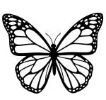 20 - Clayton Murray - The Butterfly Effect image