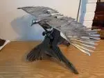 17 - Jeff Hamilton - Eagle image